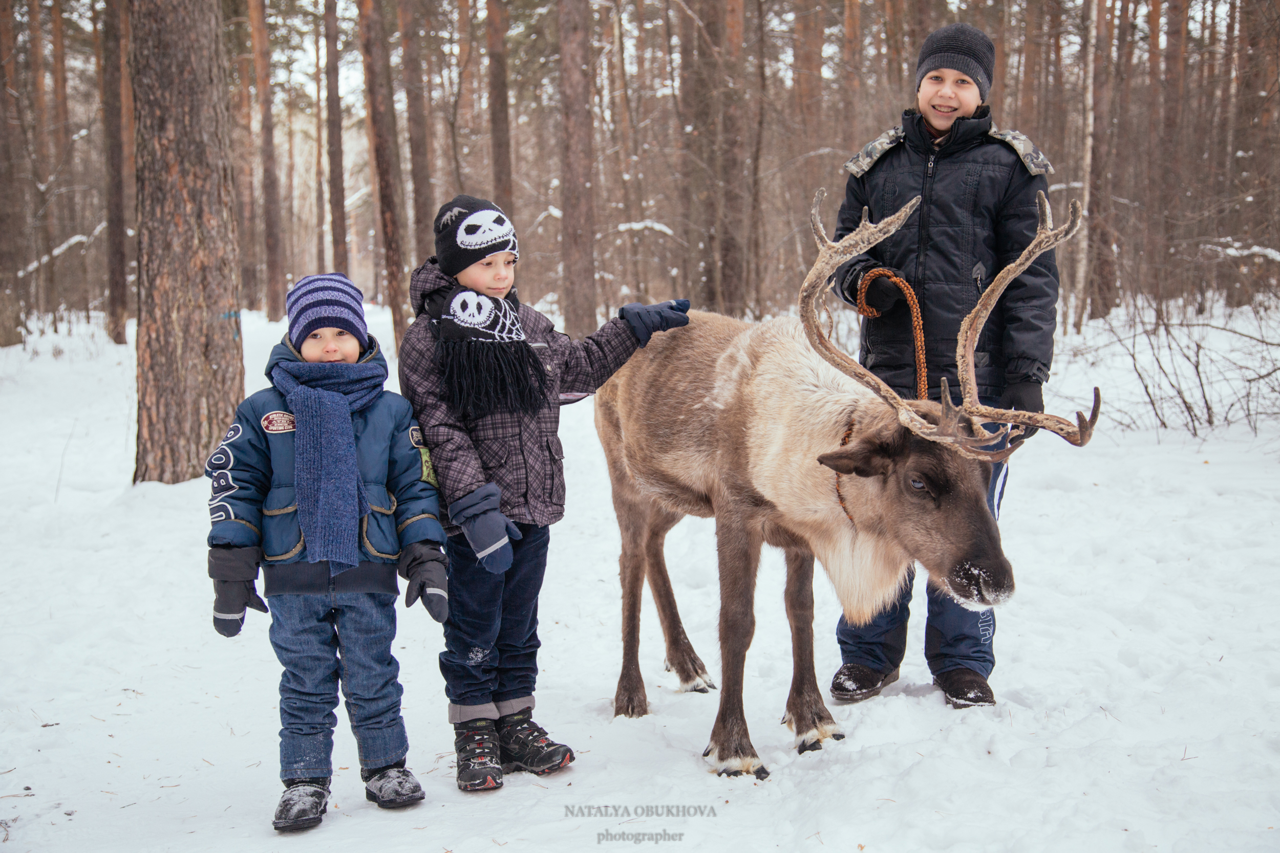 детская фотосессия с северными оленями Уральского Деда Мороза