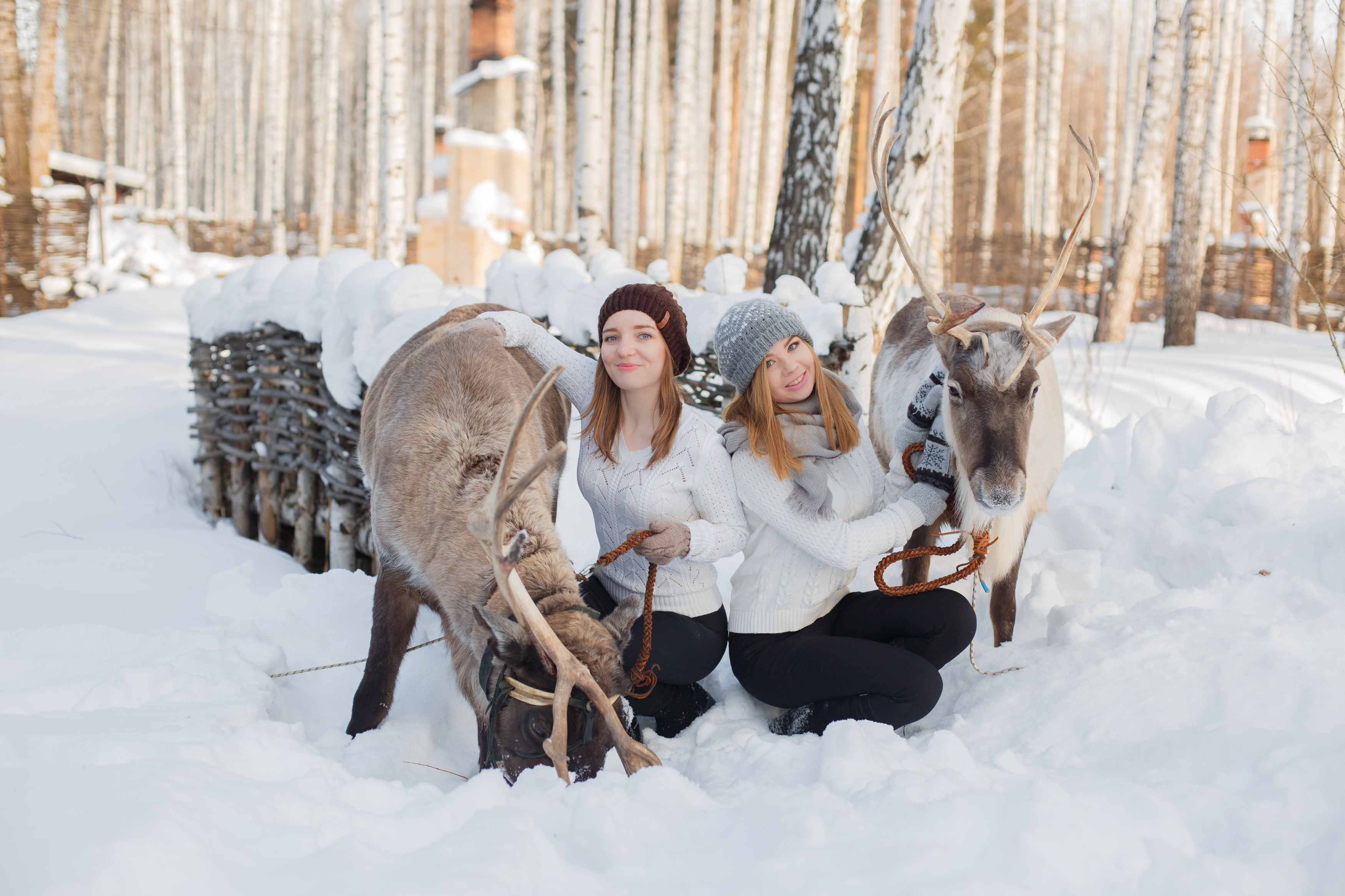 Романтическая фотосессия с северными оленями Уральской резиденции Деда Мороза