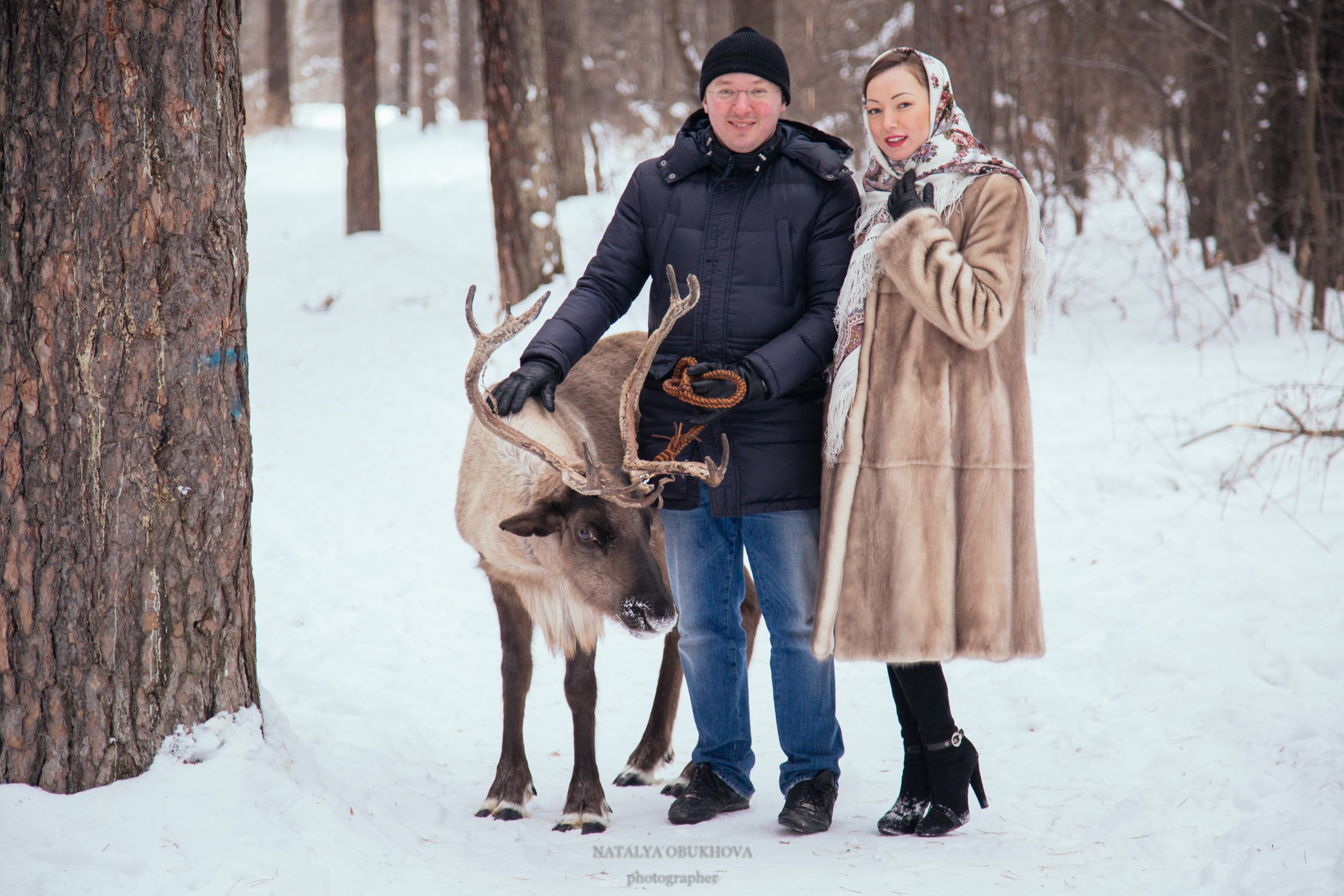 романтическая фотосессия с северными оленями Уральского Деда Мороза